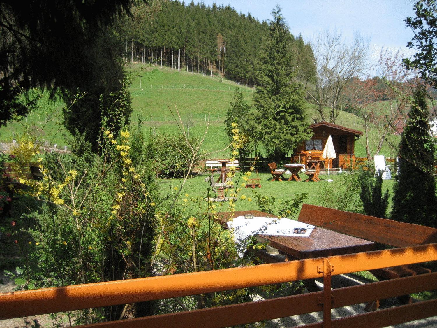 Hotel Restaurant Albans Sonne Bad Rippoldsau-Schapbach Exterior foto